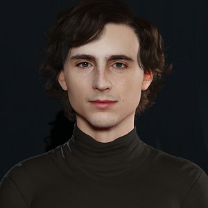 Timothee Chalamet 3d model low-poly 3D model