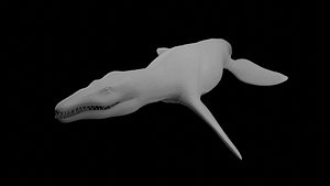 Rigged Liopleurodon 3D Model Highly Detailed Clean Topology  Animation Ready