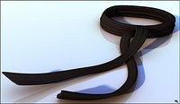 Judo Black Belt