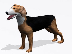 dog canine 3d max