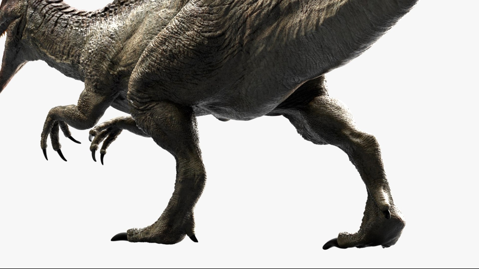 Spinosaurus Rigged 3D 3D https://p.turbosquid.com/ts-thumb/W1/mRDUe5/af/09/jpg/1761196865/1920x1080/fit_q87/9536b04377bfb6ffa3fa9a00dac1fb4723f32e7f/09.jpg