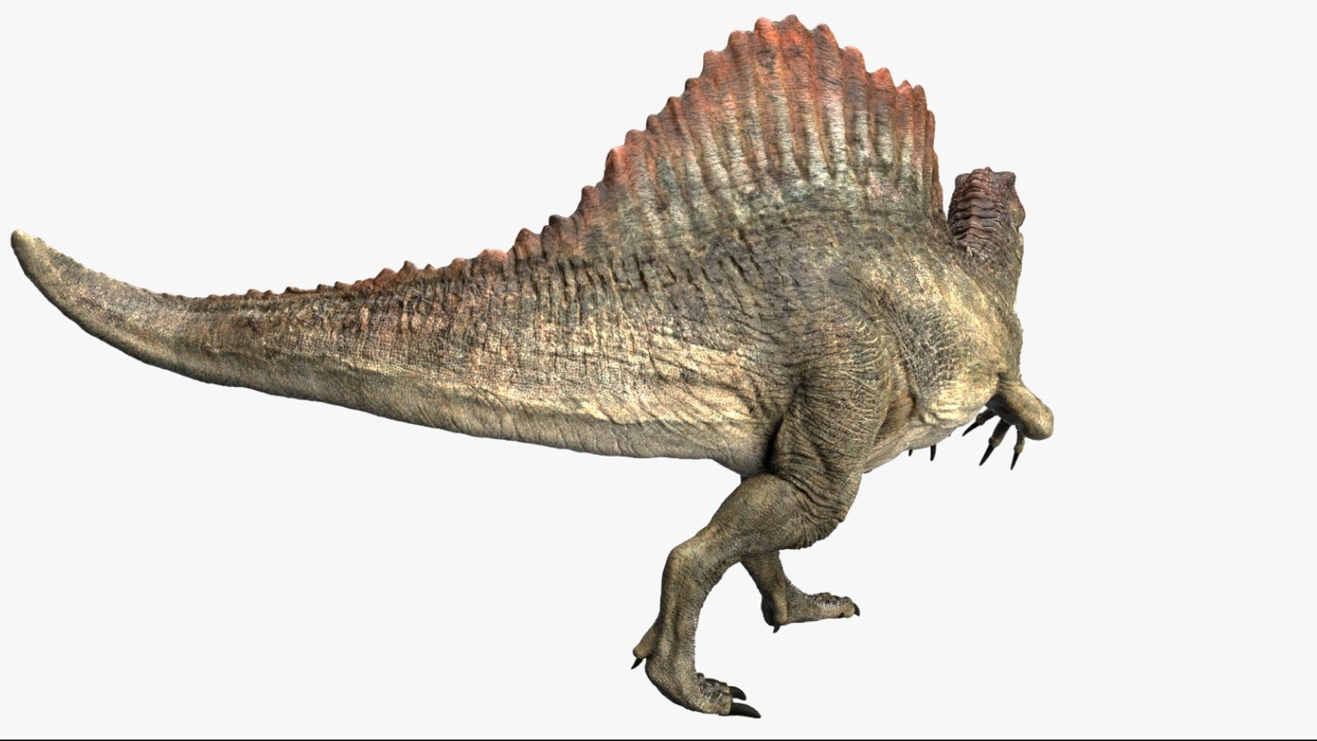 Spinosaurus Rigged 3D 3D https://p.turbosquid.com/ts-thumb/W1/mRDUe5/gO/10/jpg/1761196867/1920x1080/fit_q87/b663b587e30966a873b9eb95da1e1f3807b871a0/10.jpg