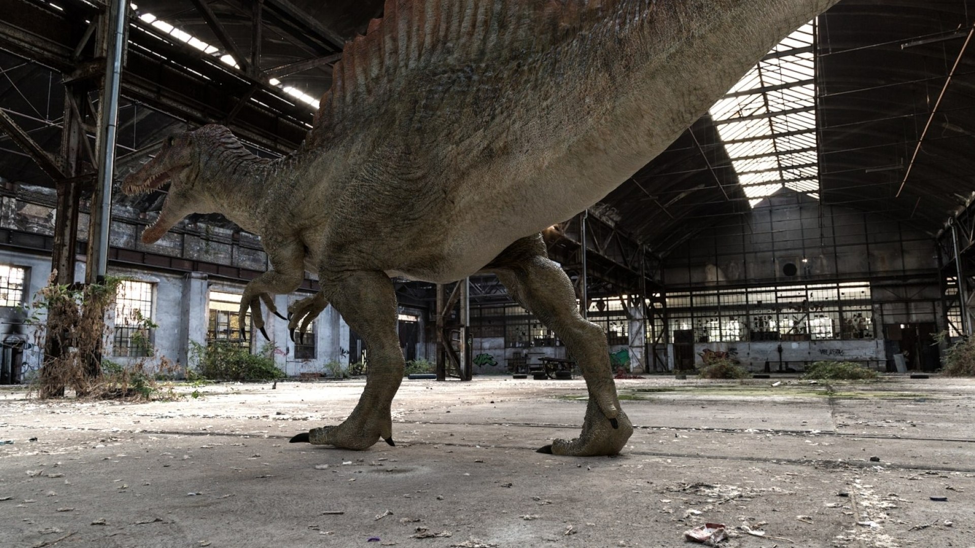 Spinosaurus Rigged 3D 3D https://p.turbosquid.com/ts-thumb/W1/mRDUe5/oi/16/jpg/1761196872/1920x1080/fit_q87/04f1e2de31517529c1141cda46d1665399b3d363/16.jpg