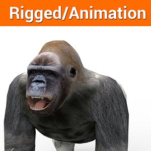 3D model gorilla rigged animation