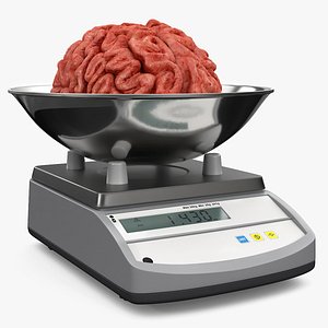 Brain on Scales
