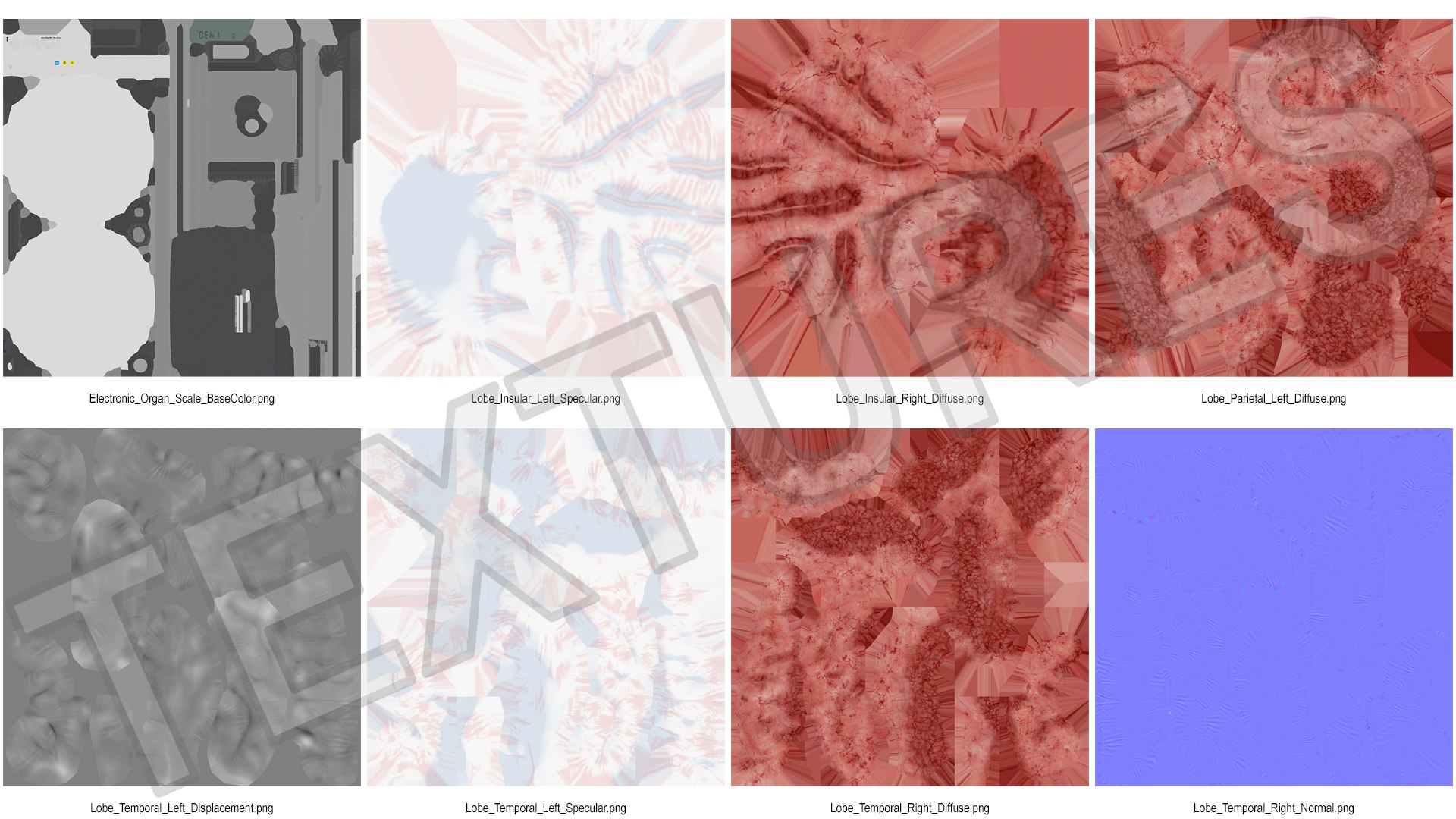 3D Brain On Scales - TurboSquid 2384841