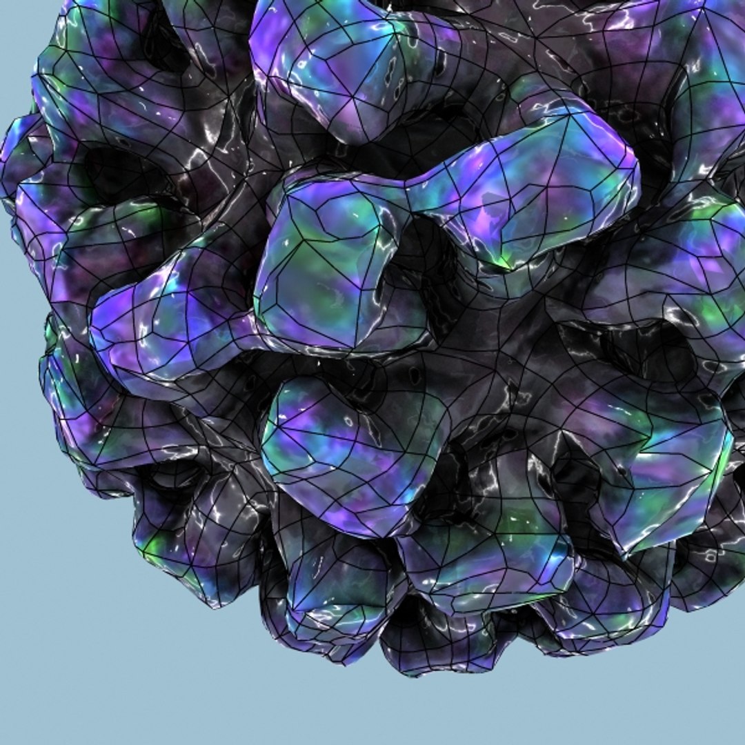 3d model norwalk virus