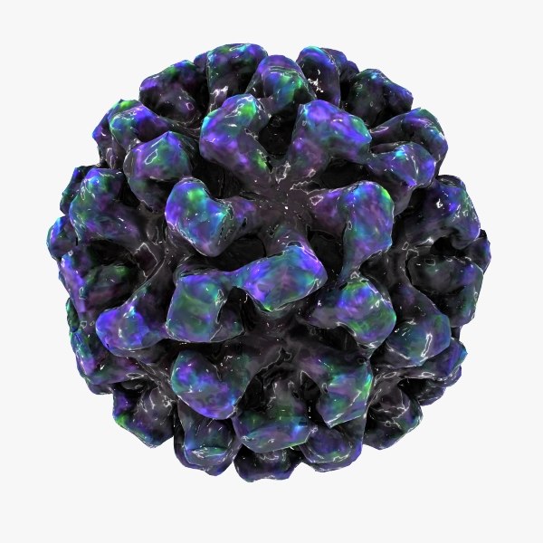 노르 워크 바이러스 3D 모델 TurboSquid 662689