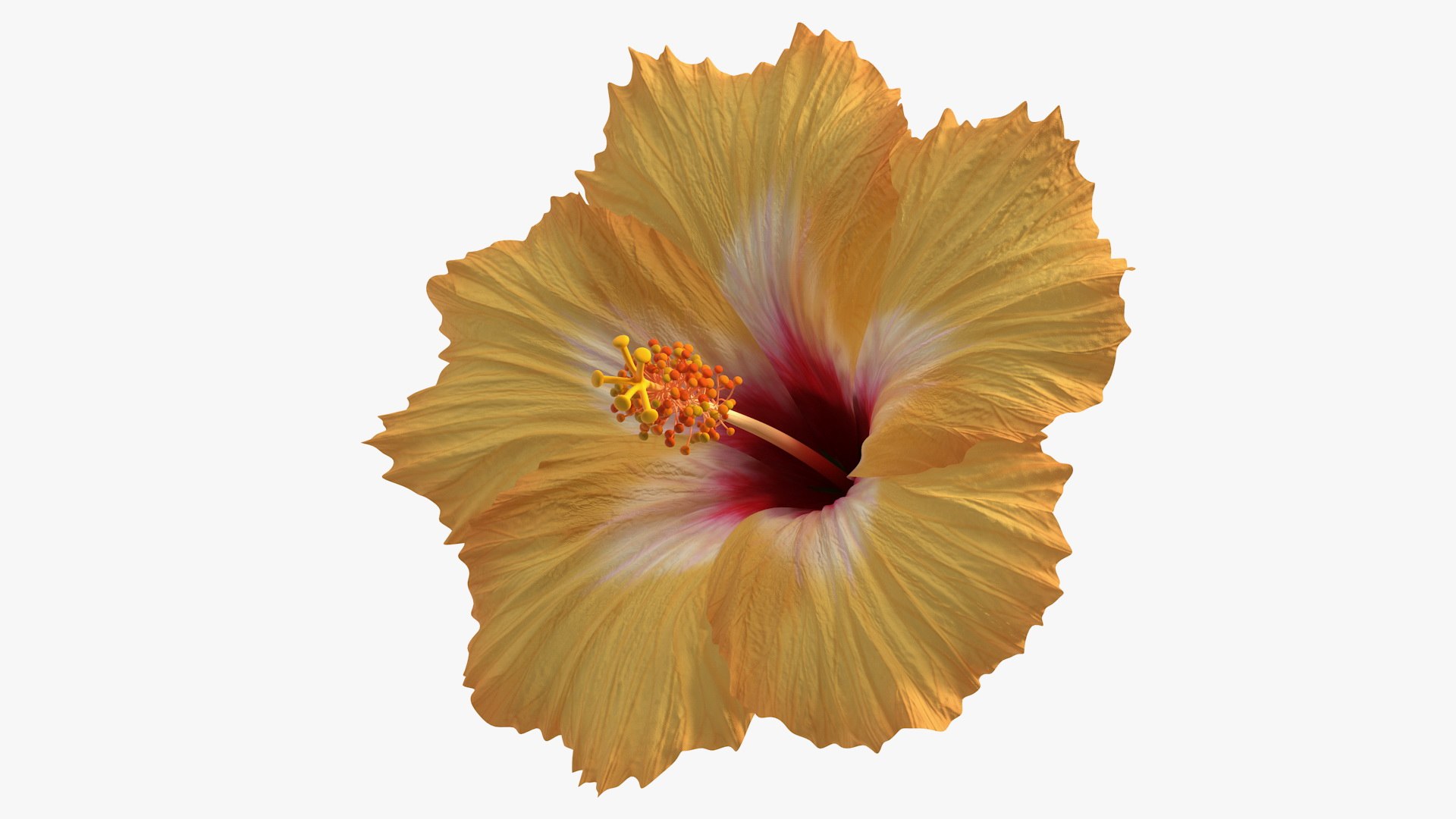3D flowers 12 model https://p.turbosquid.com/ts-thumb/W2/EeGiH5/63so7EMm/flowerscollection12vray3dmodel009/jpg/1607515624/1920x1080/fit_q87/b07395195f70cd98adf84ab5f8eef62fdb2c779a/flowerscollection12vray3dmodel009.jpg