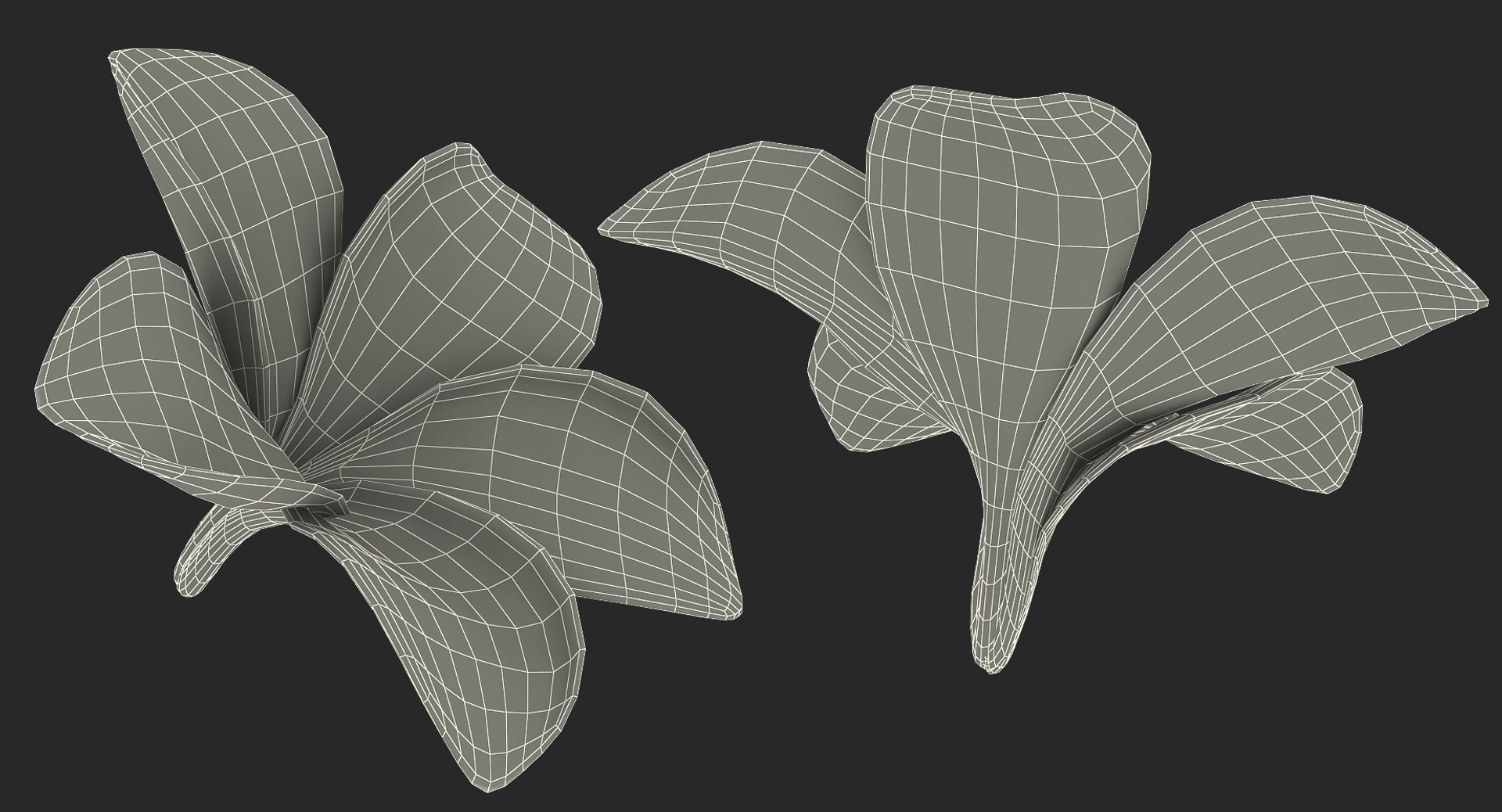 3D flowers 12 model https://p.turbosquid.com/ts-thumb/W2/EeGiH5/FBdoMltA/flowerscollection12vray3dmodel055/jpg/1607515626/1920x1080/fit_q87/88ab44547b3d523d0b3f3be618a1306c4605996e/flowerscollection12vray3dmodel055.jpg