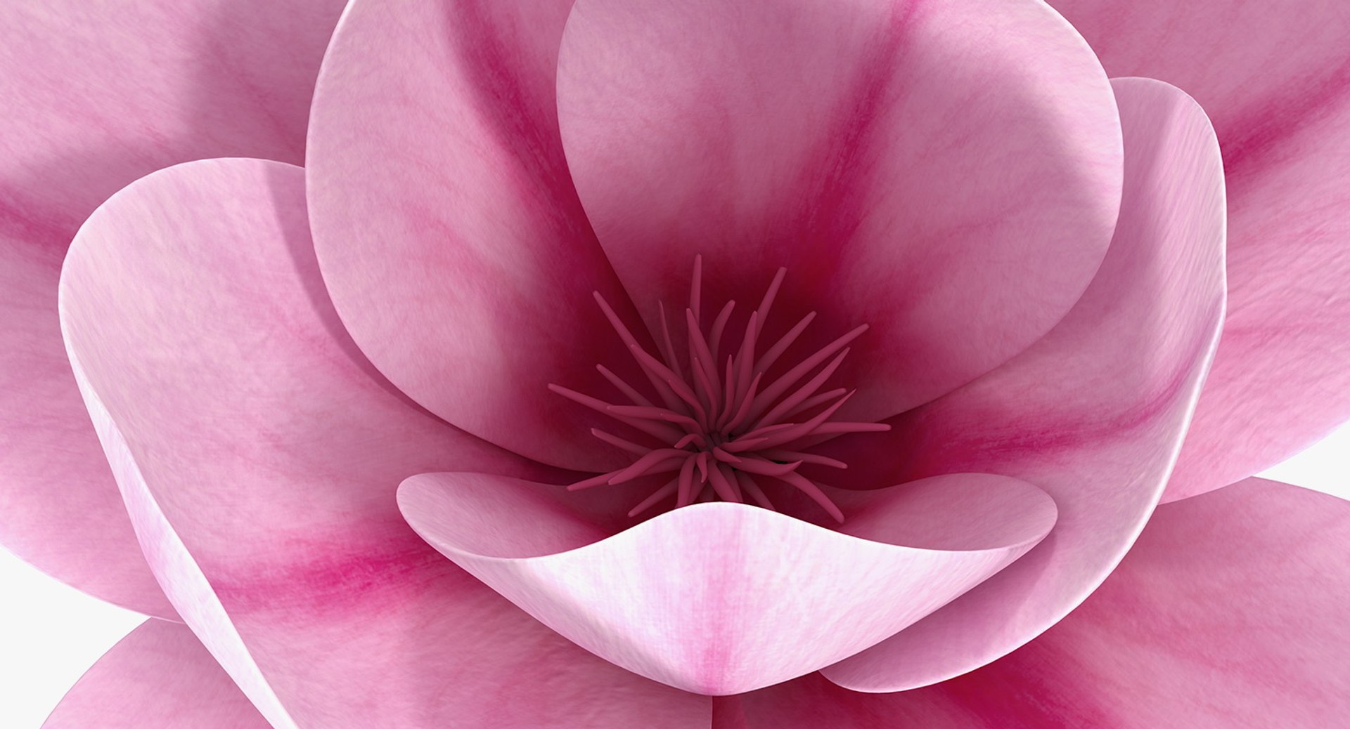 3D flowers 12 model https://p.turbosquid.com/ts-thumb/W2/EeGiH5/aYMaibqR/flowerscollection12vray3dmodel028/jpg/1607515625/1920x1080/fit_q87/cc36022172a5b4938e25615ffee9ae48c5f7b548/flowerscollection12vray3dmodel028.jpg