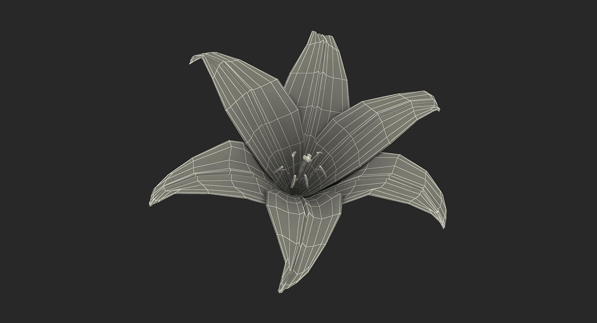 3D flowers 12 model https://p.turbosquid.com/ts-thumb/W2/EeGiH5/ajQdLJvr/flowerscollection12vray3dmodel056/jpg/1607515626/1920x1080/fit_q87/01d17aa11fb5812010781a222a6062762bc43345/flowerscollection12vray3dmodel056.jpg