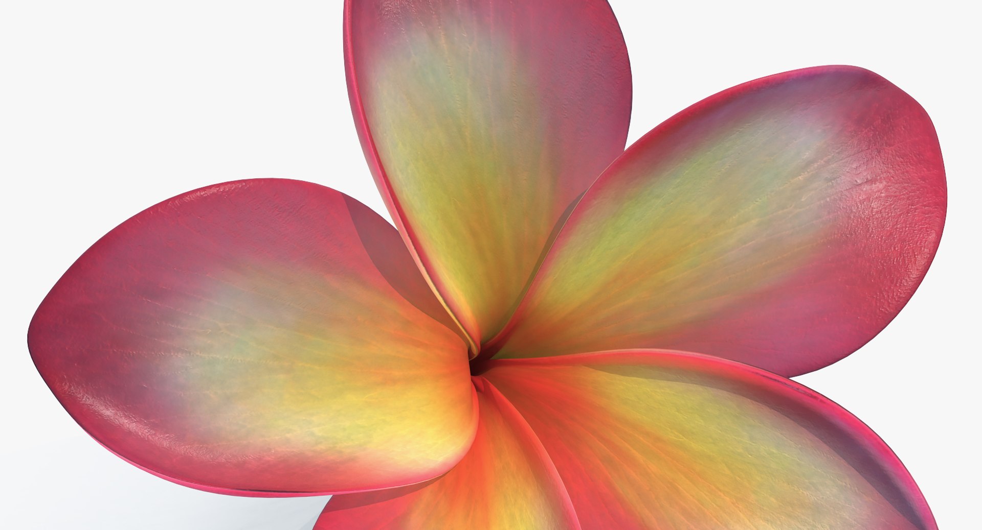 3D flowers 12 model https://p.turbosquid.com/ts-thumb/W2/EeGiH5/bCCxJlLg/flowerscollection12vray3dmodel043/jpg/1607515625/1920x1080/fit_q87/9c7fe75fad7c5abc7ab8adf624d05c73fdc30fe6/flowerscollection12vray3dmodel043.jpg