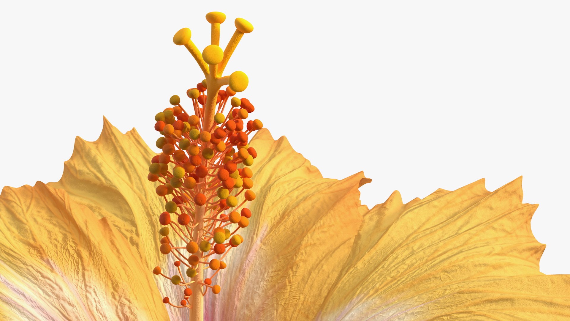 3D flowers 12 model https://p.turbosquid.com/ts-thumb/W2/EeGiH5/brRJNmGk/flowerscollection12vray3dmodel014/jpg/1607515624/1920x1080/fit_q87/609c323ebe5cf5d0c434902afdc9cd342c80750a/flowerscollection12vray3dmodel014.jpg