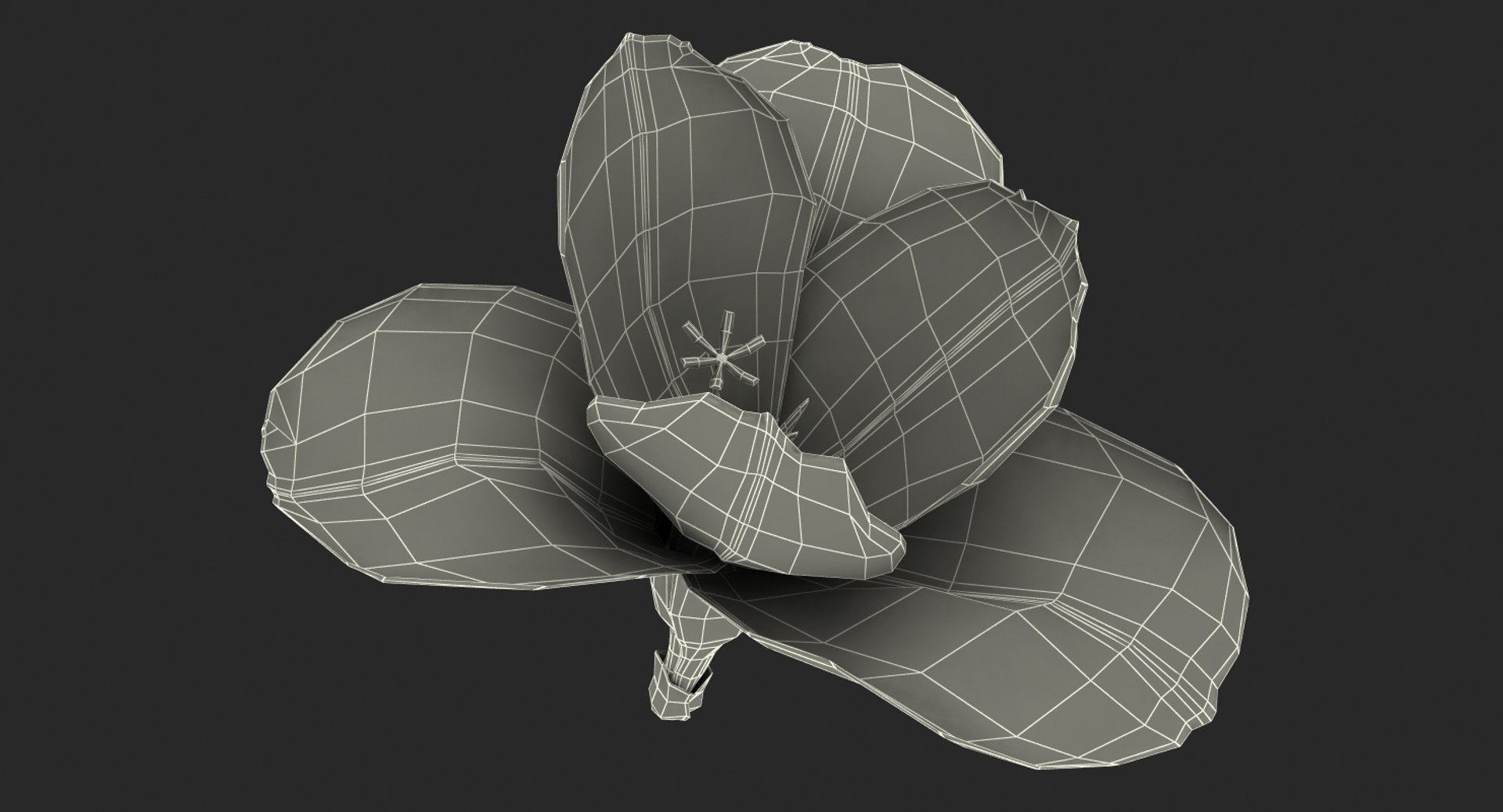 3D flowers 12 model https://p.turbosquid.com/ts-thumb/W2/EeGiH5/ceG13WOV/flowerscollection12vray3dmodel053/jpg/1607515625/1920x1080/fit_q87/7b0969dc4cd2612bc42df53317790aaff82cb593/flowerscollection12vray3dmodel053.jpg