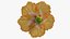 Coleção de Flores 12