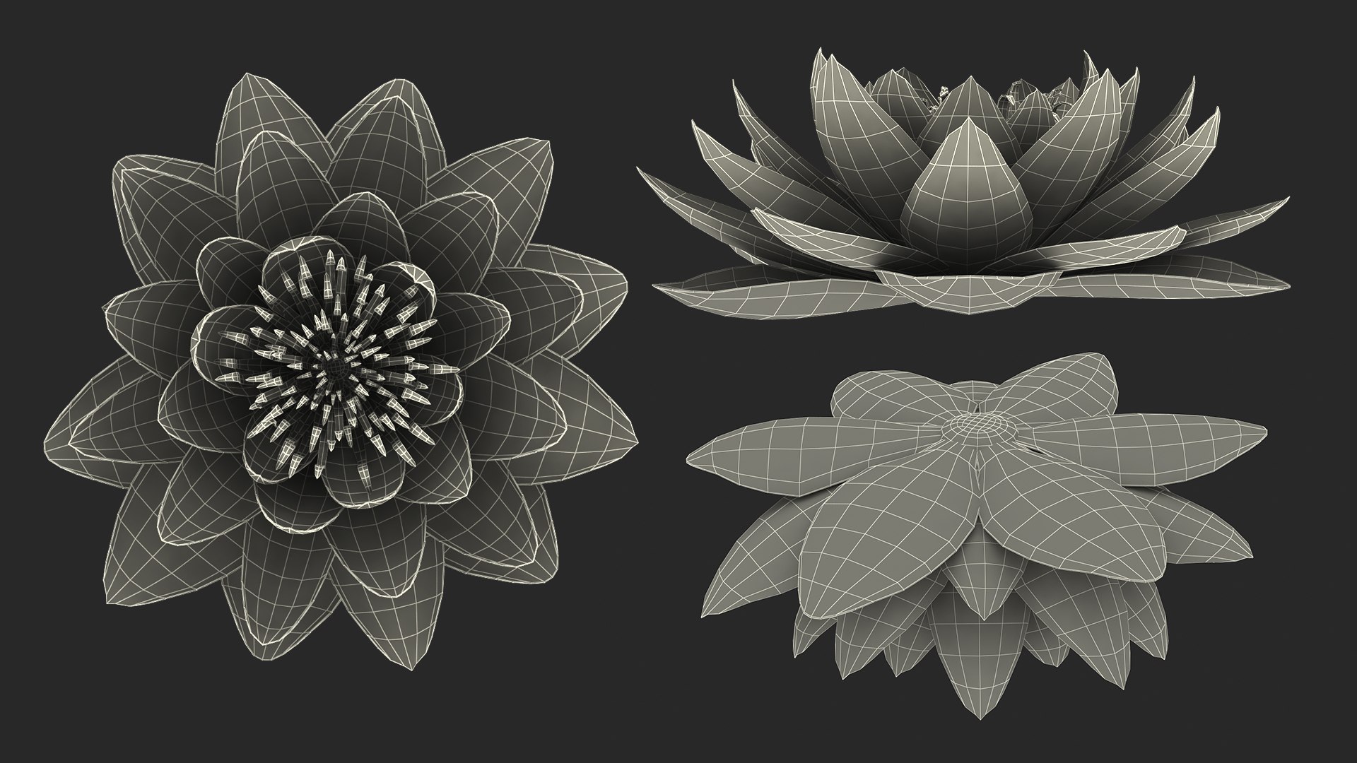 3D flowers 12 model https://p.turbosquid.com/ts-thumb/W2/EeGiH5/kgxzkpbB/flowerscollection12vray3dmodel051/jpg/1607515625/1920x1080/fit_q87/95068cb8ccf24a08010978451addb1eb1de67226/flowerscollection12vray3dmodel051.jpg