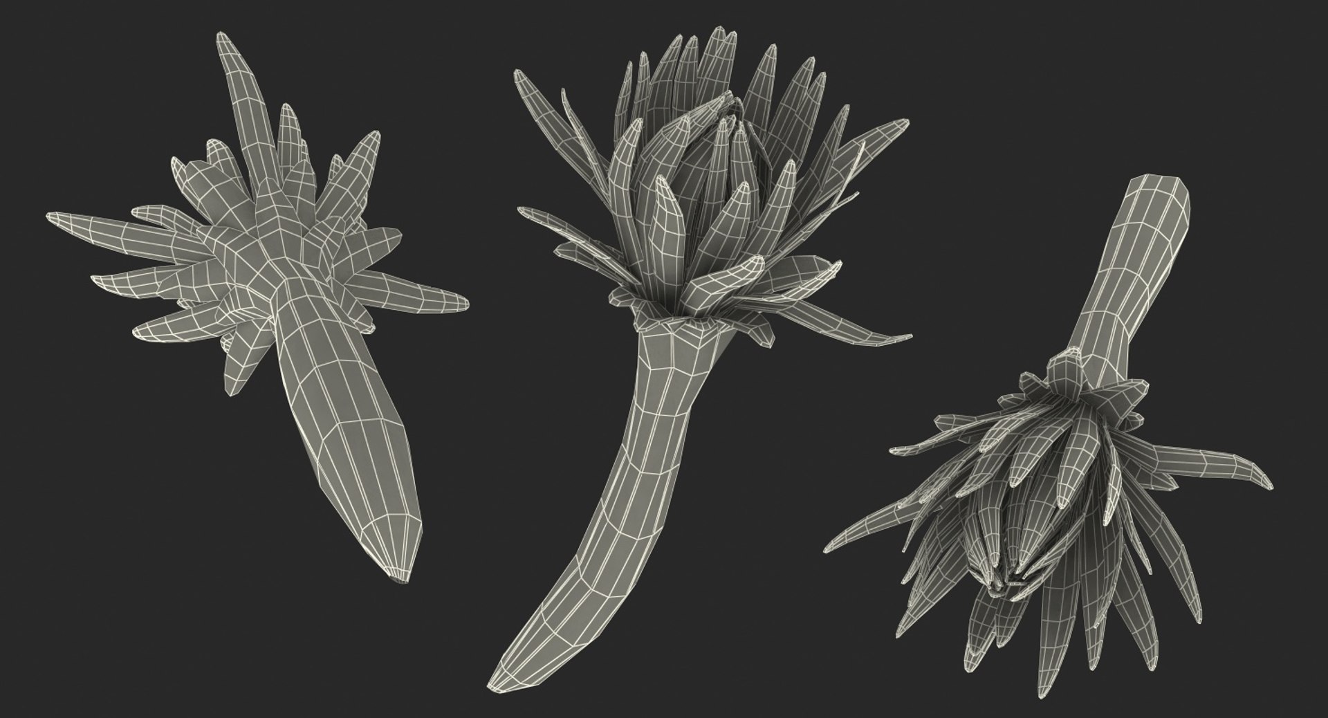 3D flowers 12 model https://p.turbosquid.com/ts-thumb/W2/EeGiH5/lK6Ps23d/flowerscollection12vray3dmodel054/jpg/1607515625/1920x1080/fit_q87/c688b4d8aa2f750d6d78f16d49d7812b2d1a545a/flowerscollection12vray3dmodel054.jpg
