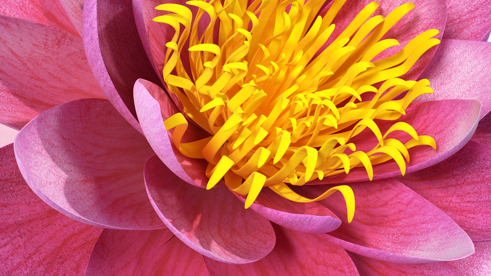 3D flowers 12 model https://p.turbosquid.com/ts-thumb/W2/EeGiH5/ocYBhONO/flowerscollection12vray3dmodel021/jpg/1607515625/1920x1080/fit_q87/8861bf7e0f55b094cbdb697222a9020a77607a4e/flowerscollection12vray3dmodel021.jpg