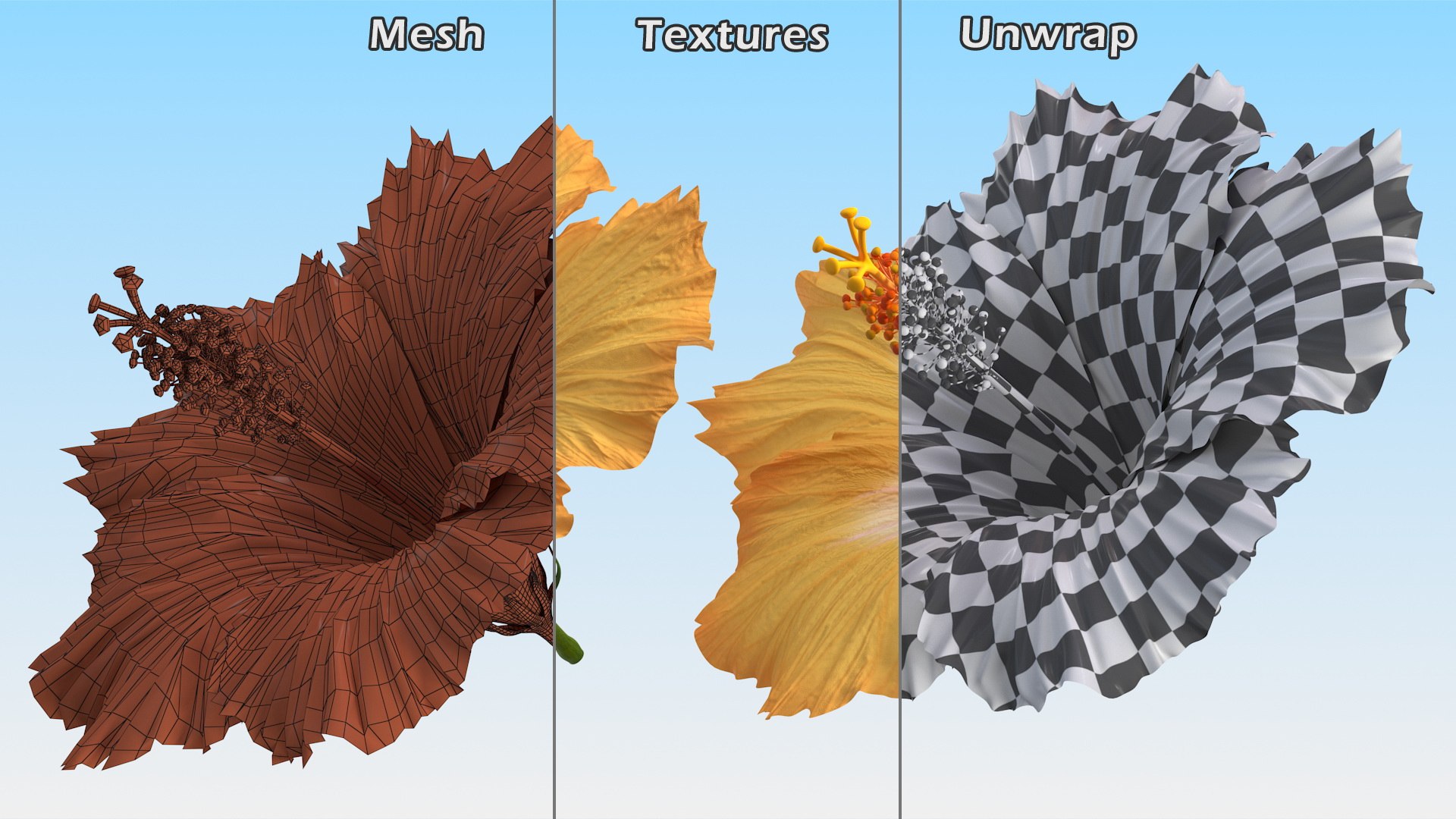 3D flowers 12 model https://p.turbosquid.com/ts-thumb/W2/EeGiH5/opbhkpcf/flowerscollection12vray3dmodel008/jpg/1607515624/1920x1080/fit_q87/c8013583c19a2db6f31ffa41ca19bb7d2073783f/flowerscollection12vray3dmodel008.jpg