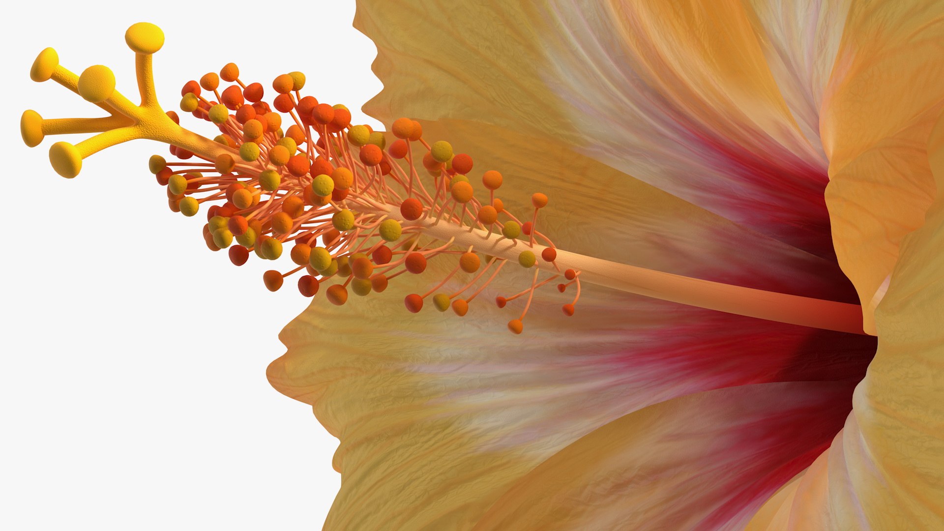3D flowers 12 model https://p.turbosquid.com/ts-thumb/W2/EeGiH5/ti5e7Ikl/flowerscollection12vray3dmodel013/jpg/1607515624/1920x1080/fit_q87/3d479cf8def1bcdf37dc75e445fe18adacc4b64e/flowerscollection12vray3dmodel013.jpg
