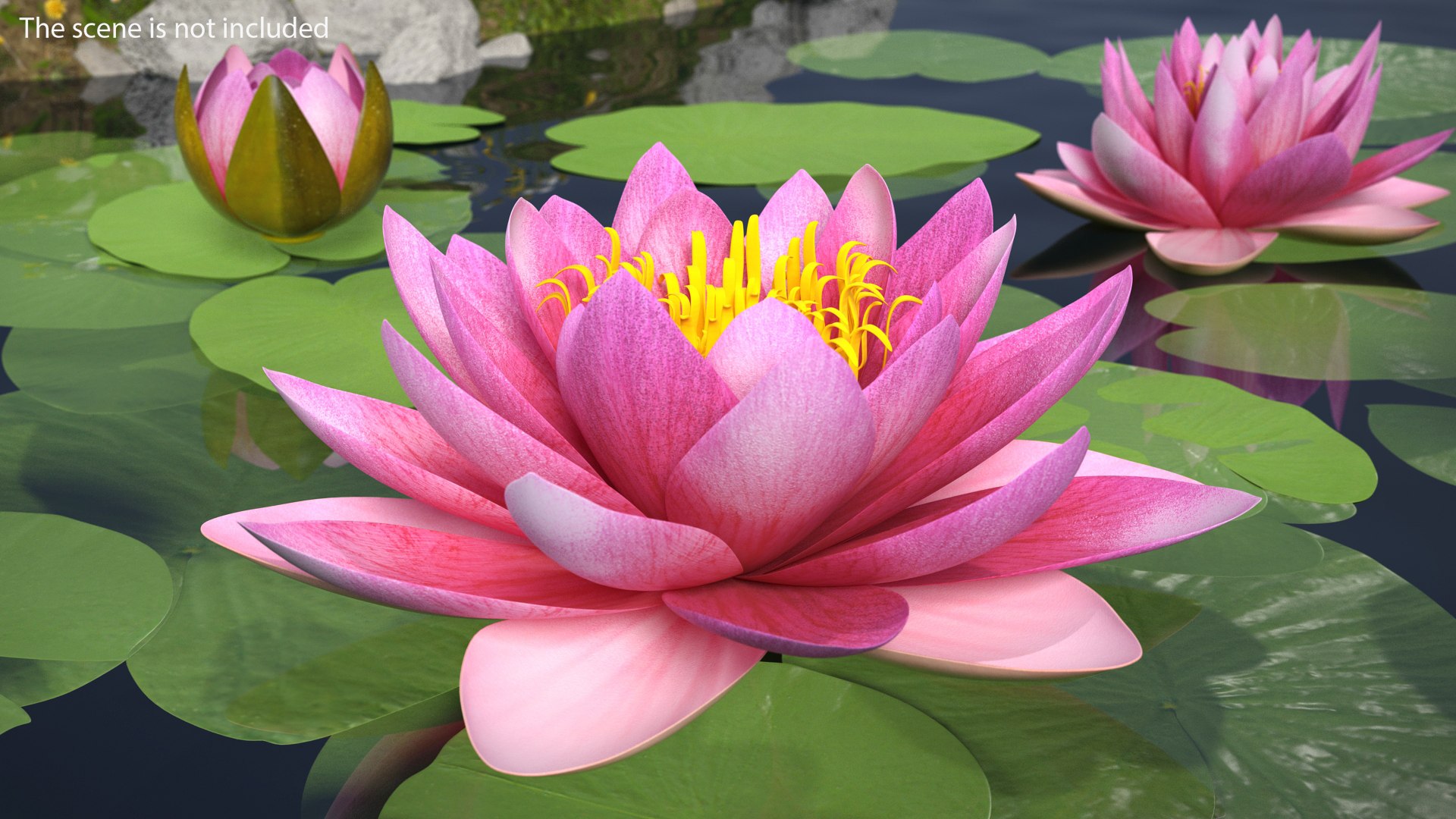 3D flowers 12 model https://p.turbosquid.com/ts-thumb/W2/EeGiH5/xrEWS2JO/flowerscollection12vray3dmodel018/jpg/1607515624/1920x1080/fit_q87/4a8f6ee54887999d3600401c8ebb9d8f5eee7db4/flowerscollection12vray3dmodel018.jpg