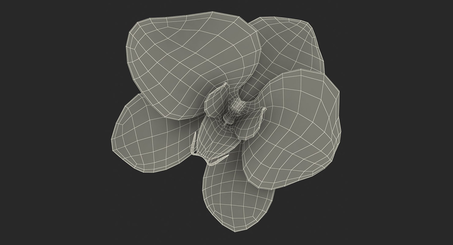 3D flowers 12 model https://p.turbosquid.com/ts-thumb/W2/EeGiH5/yyq7Nl4C/flowerscollection12vray3dmodel057/jpg/1607515626/1920x1080/fit_q87/06f806b7dc7dba926d0778b161272a77128dfce5/flowerscollection12vray3dmodel057.jpg