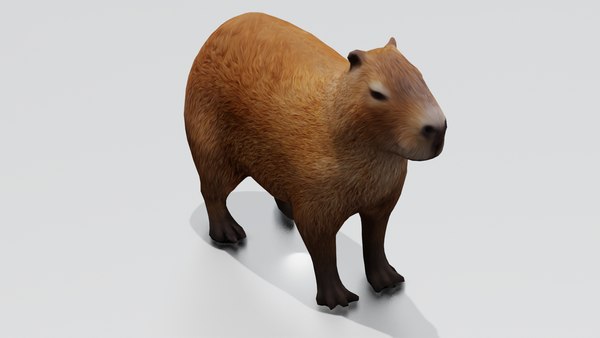Capybara Yuzu Stickie (6in)