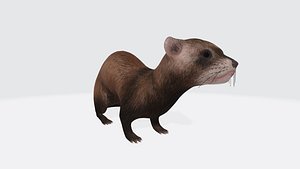 Ferret Animal Figure 3D Model Ready to Print