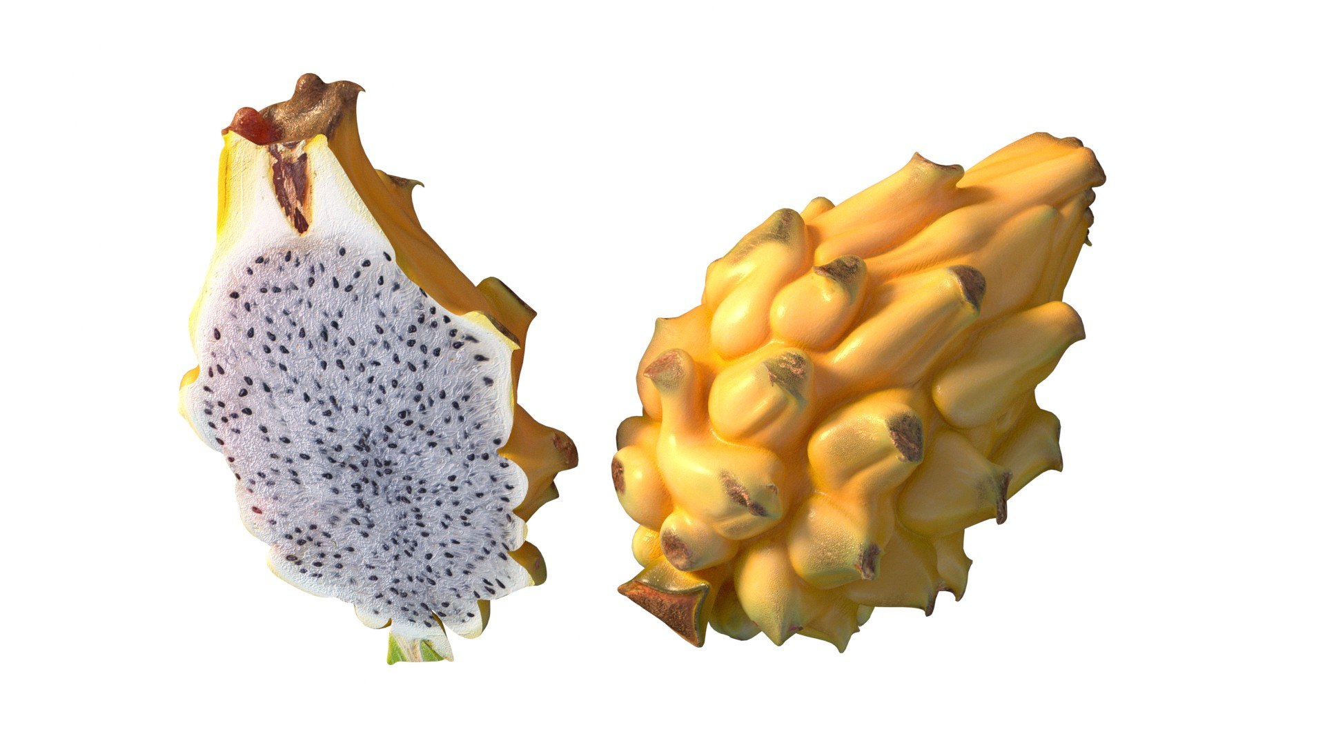 Yellow dragon fruit 3D model https://p.turbosquid.com/ts-thumb/W2/RDbOnH/zf/4/jpg/1759842245/1920x1080/fit_q87/c7679a07bf43b04de4e8fb725be740de48cd2222/4.jpg