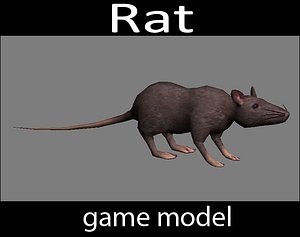 3D Rat - game model - lowpoly