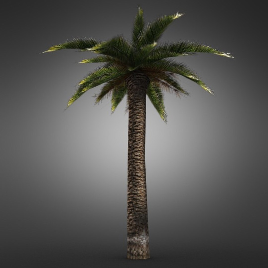 3dsmax ready games