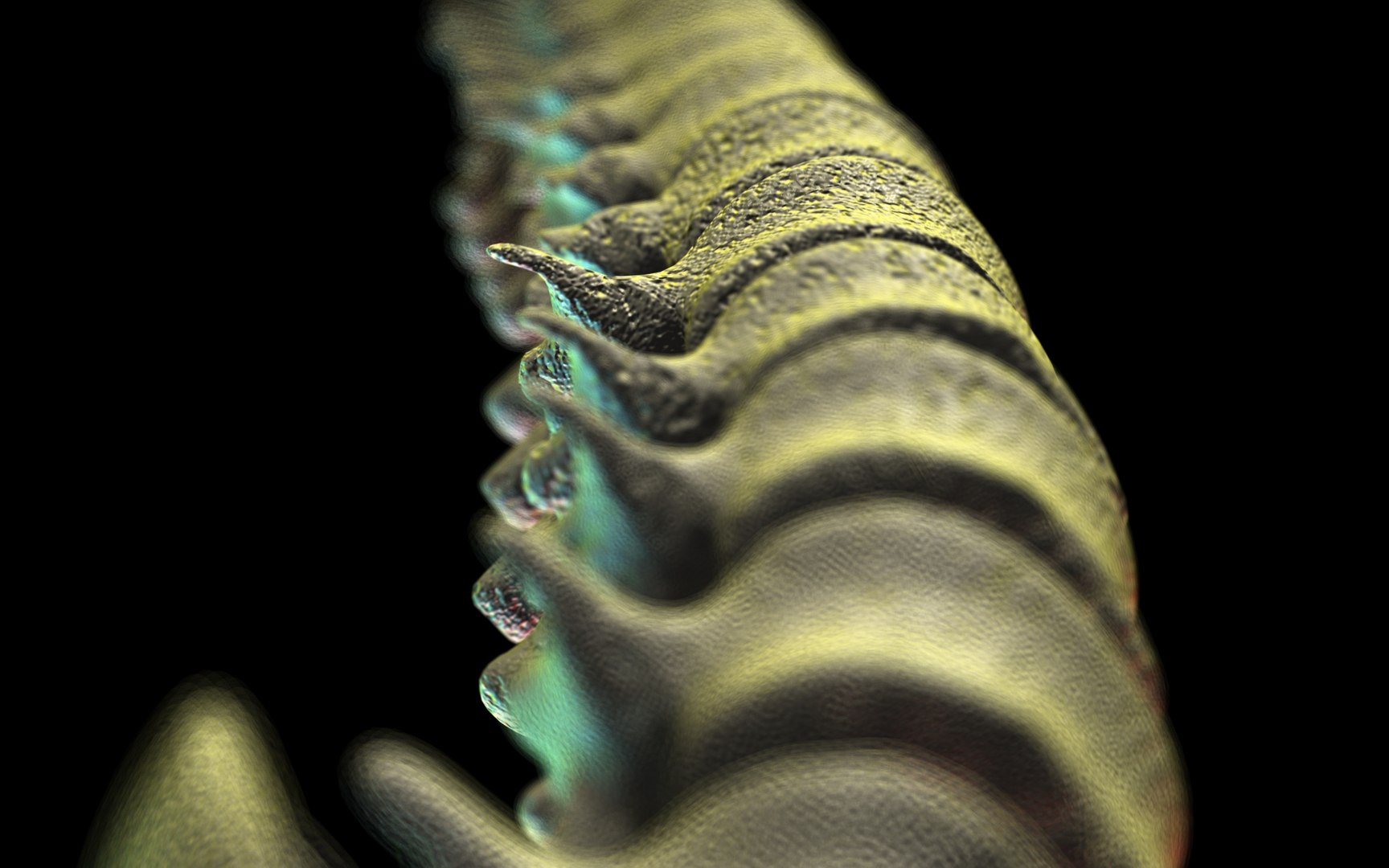 3D Spine Scanline - TurboSquid 1991866