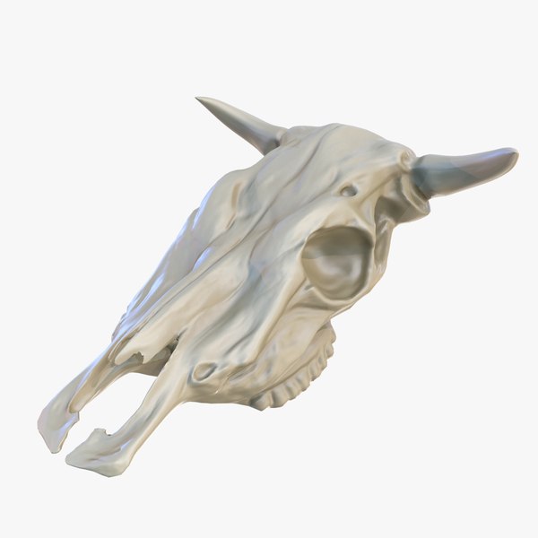 3D cow skull model