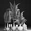 Decor with dry flowers Phragmites