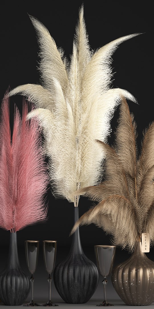decor dry flowers phragmites 3D https://p.turbosquid.com/ts-thumb/W2/kfkyDz/ZEOxmf3X/dryreed041204/jpg/1544093659/1920x1080/fit_q87/96c28b75d709fd39127aa8e34820c508e342c306/dryreed041204.jpg