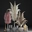 Decor with dry flowers Phragmites
