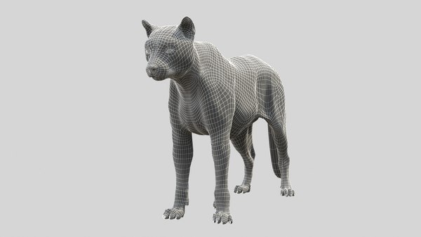 3D Cougar - TurboSquid 1761991