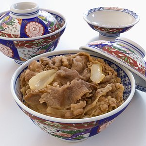 3D Gyudon and Donburi bowl with lid - Japanese Beef Rice Bowl