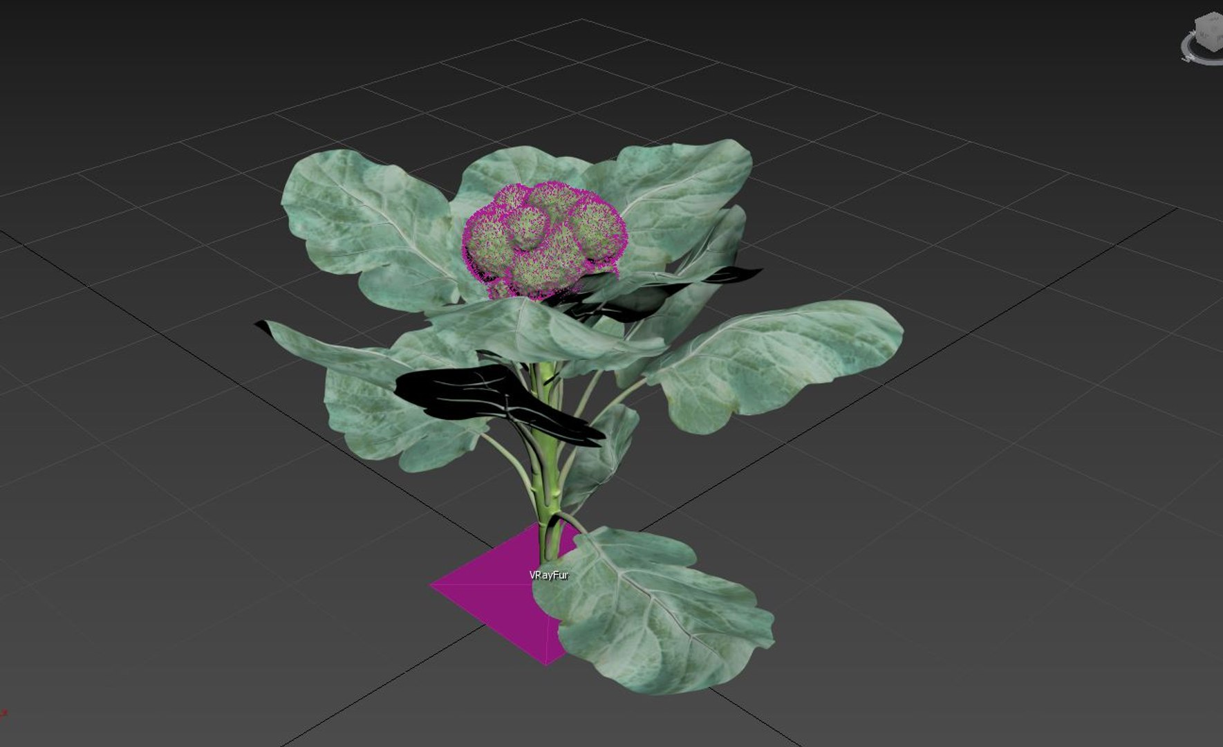 3D Model Broccoli - TurboSquid 2249362