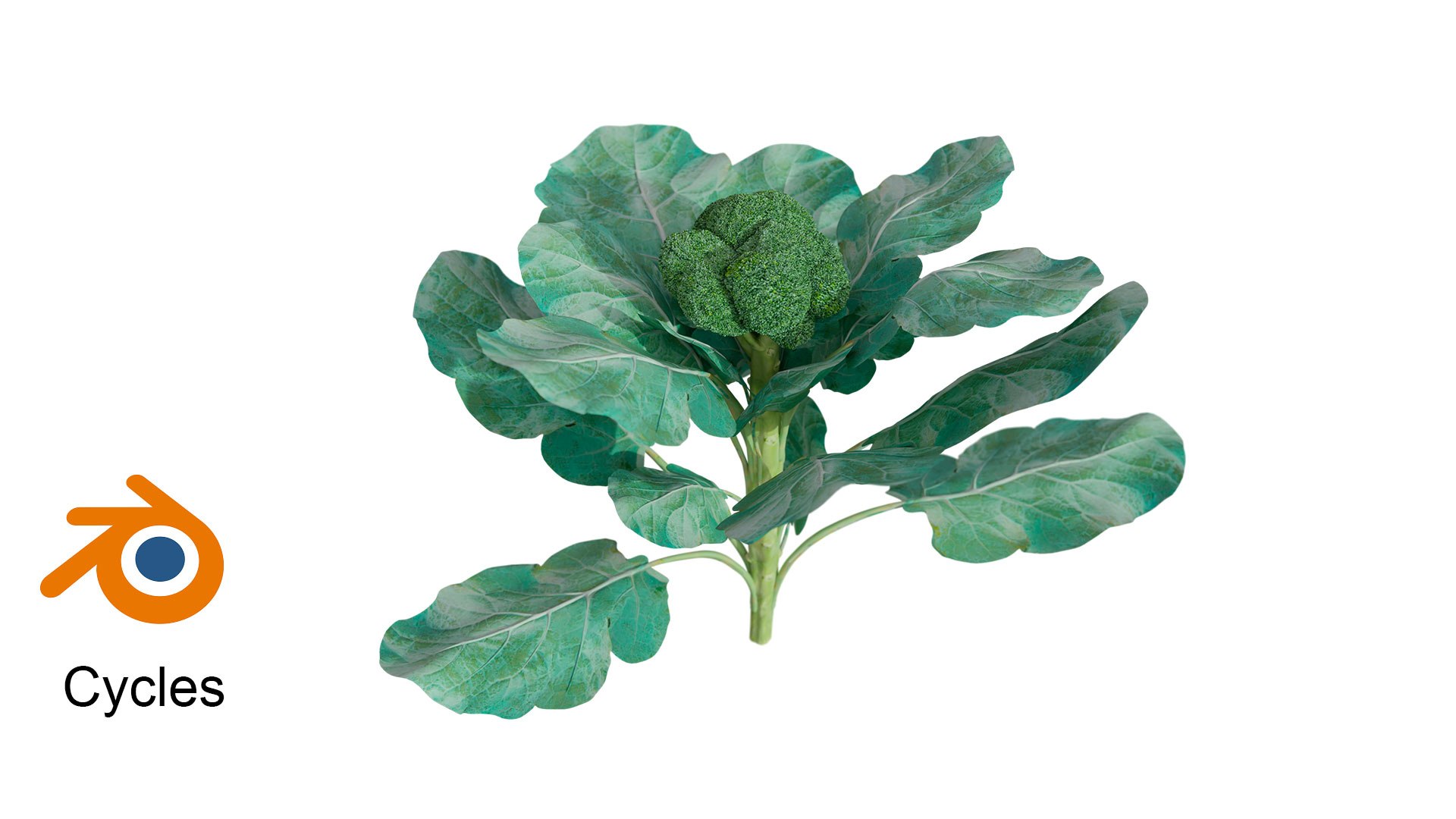 3D Model Broccoli - TurboSquid 2249362