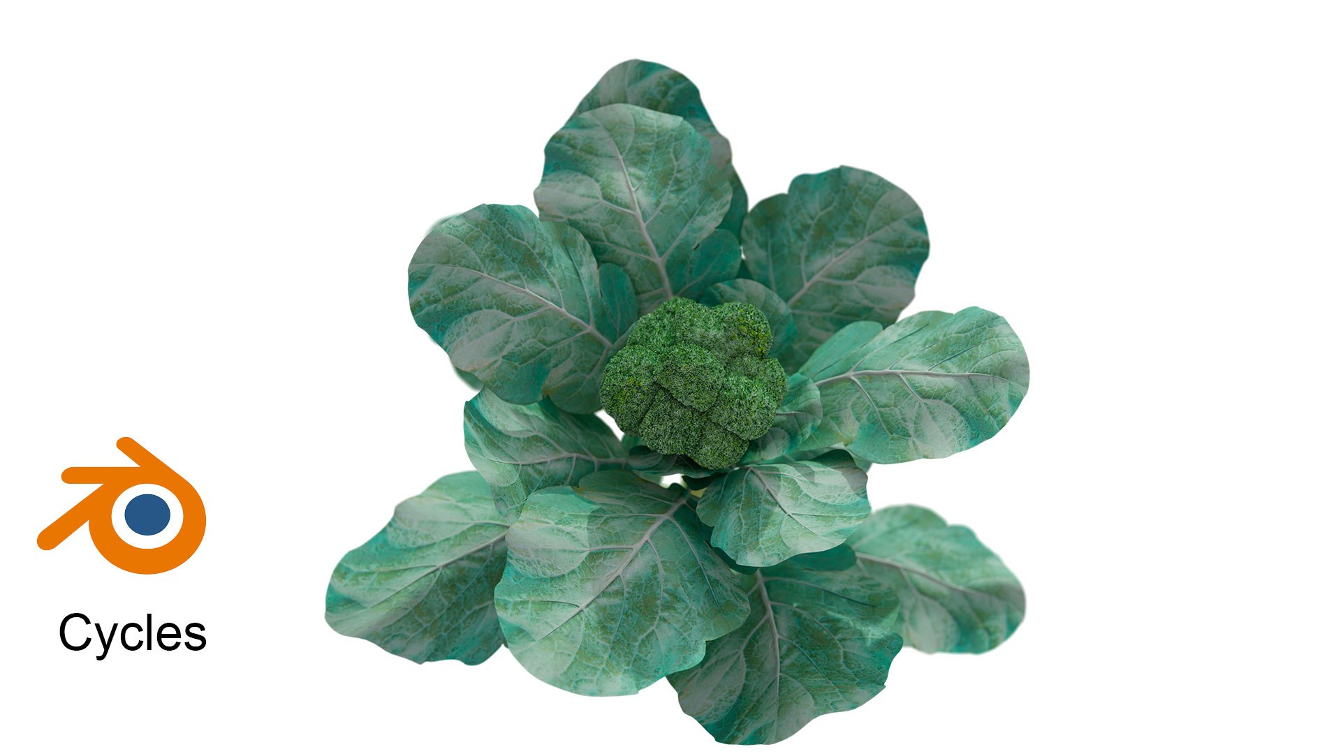 3D Model Broccoli - TurboSquid 2249362