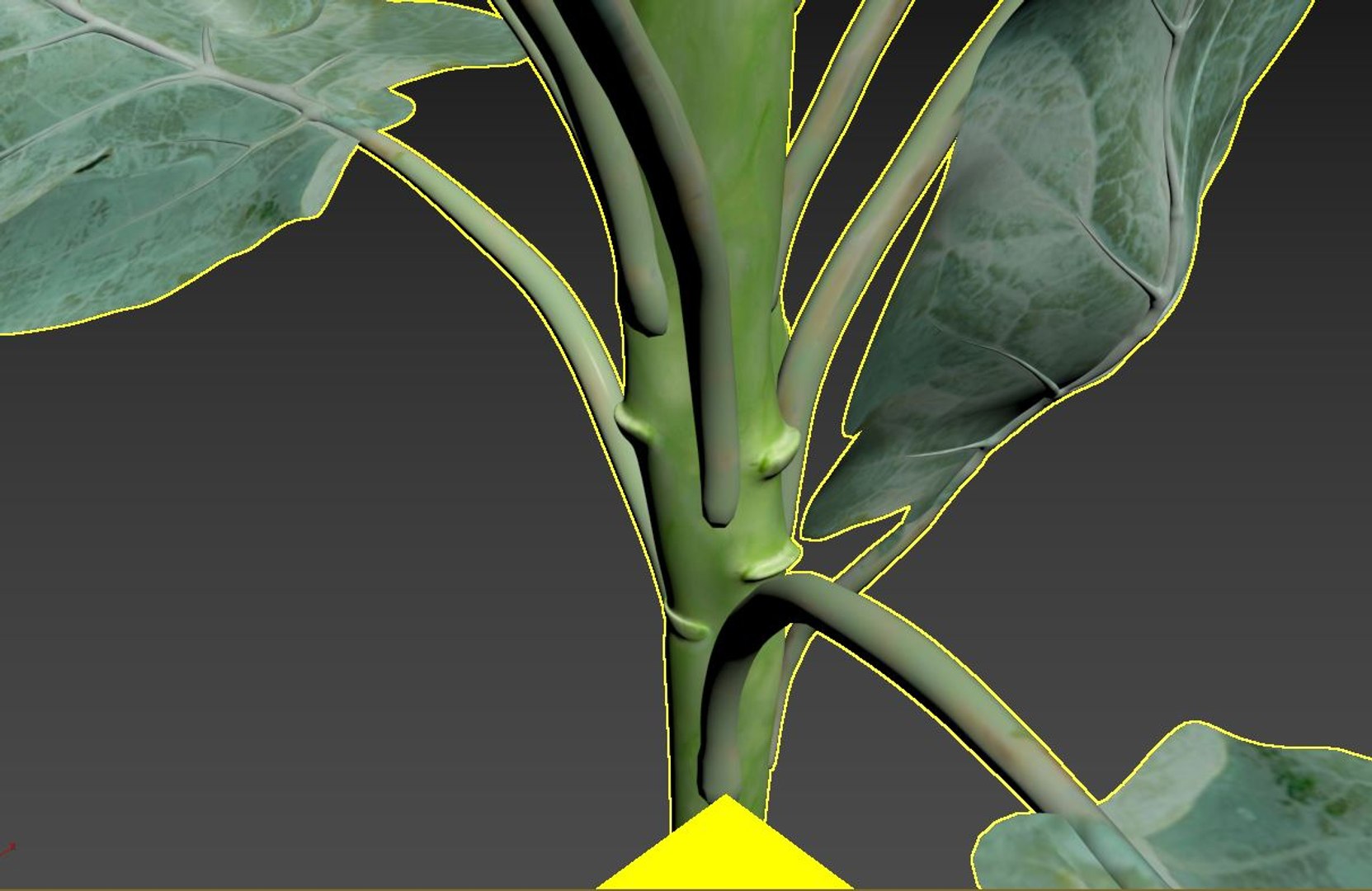 3D Model Broccoli - TurboSquid 2249362