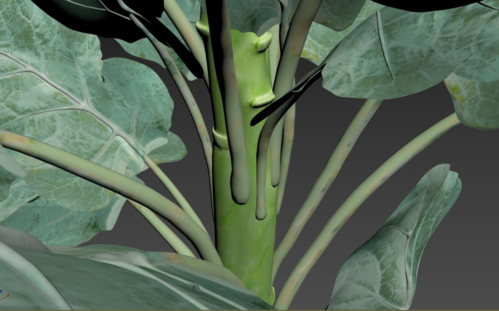 3D Model Broccoli - TurboSquid 2249362