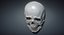 human skull relief 3d model