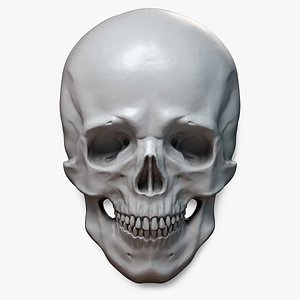 Human Skull Relief