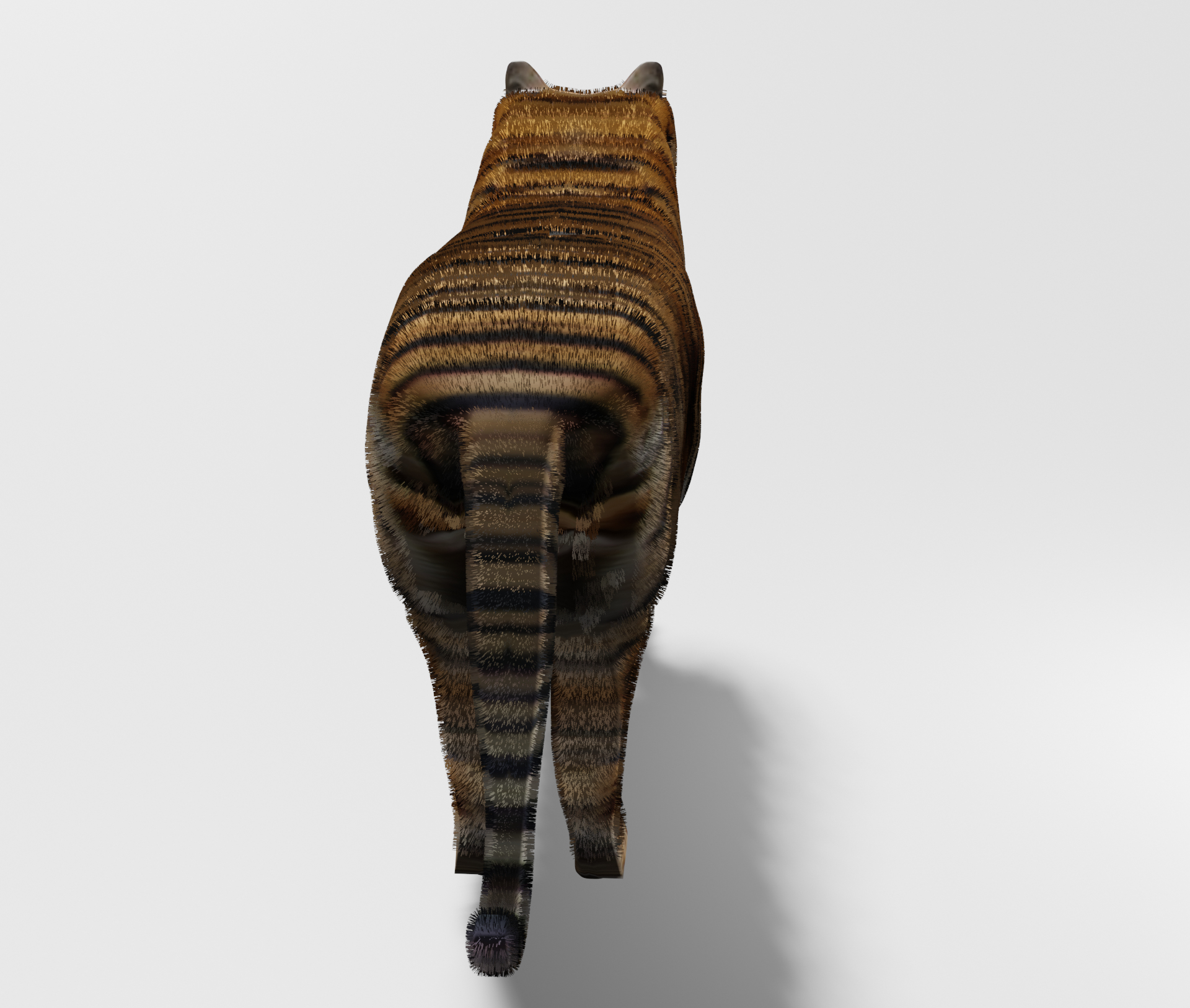 Tiger Blender OBJ 3D model TurboSquid 1971018