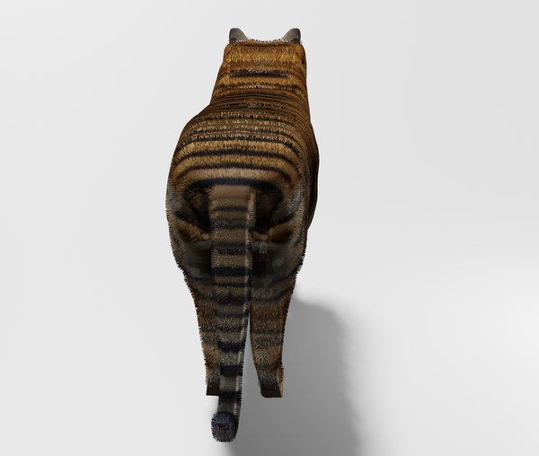 Tiger Blender OBJ 3D model TurboSquid 1971018