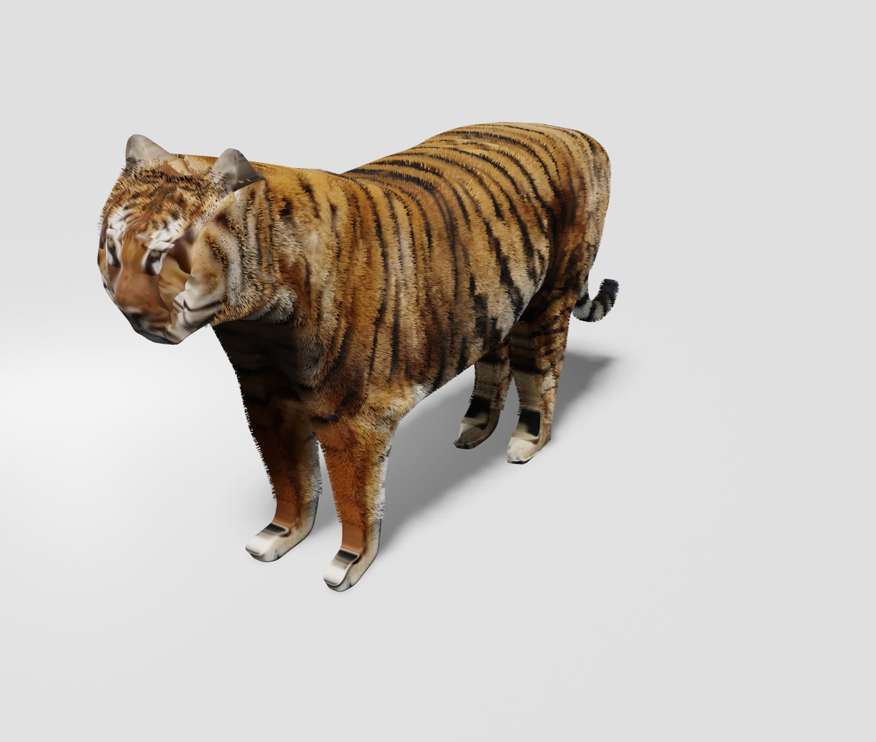 OBJ file TIGER DOWNLOAD Bengal TIGER 3d model animated for blender