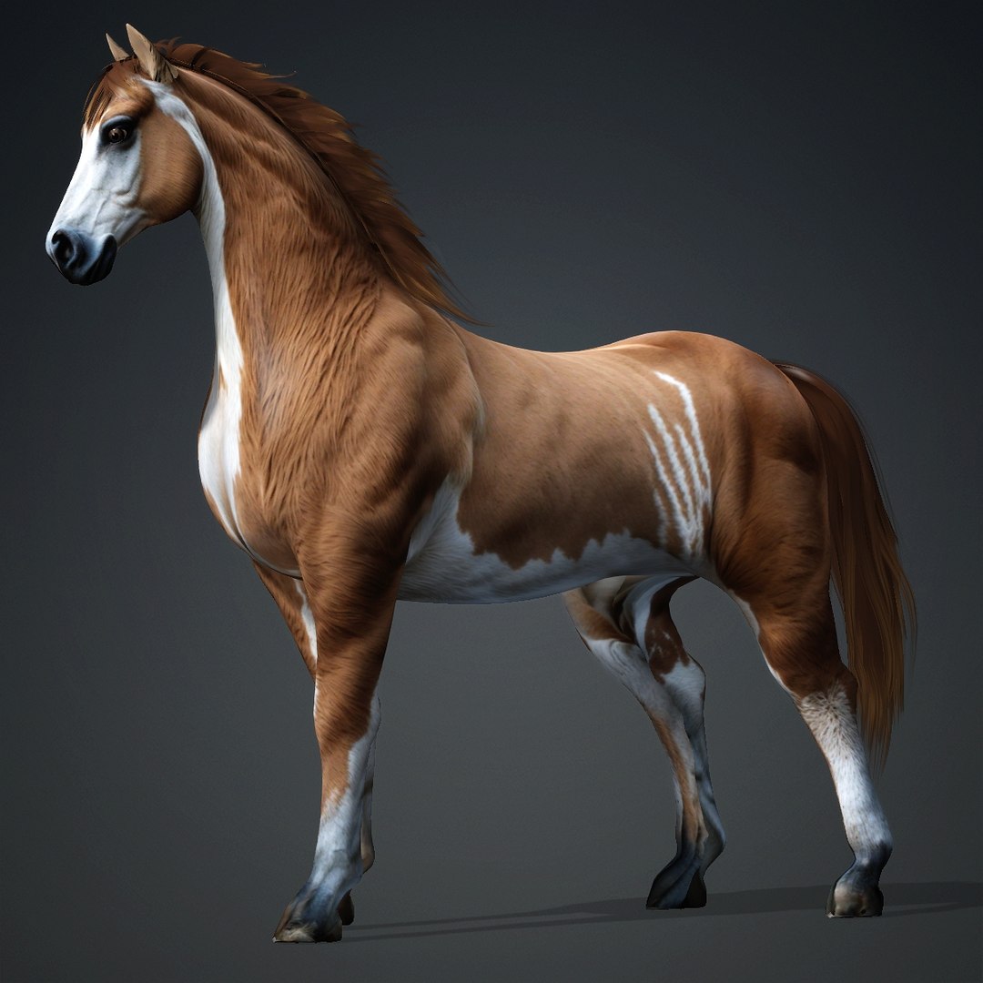 Horse-A3 model https://p.turbosquid.com/ts-thumb/W3/LIwB0i/6a/a3/jpg/1758946425/1920x1080/fit_q87/0bfc886e802e19ced33706335d867b524d73cb7b/a3.jpg